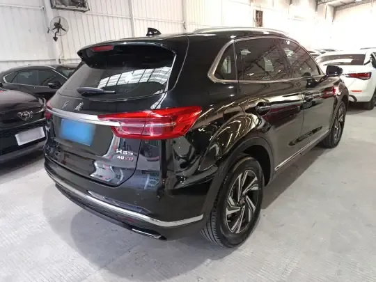 Hongqi HS5 2022 (37500 км)
