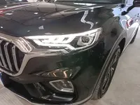 Hongqi HS5 2022 (37500 км)