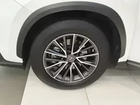Lexus NX 2022 (27300 км)
