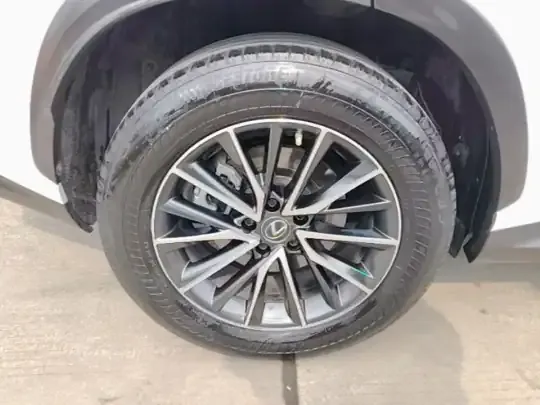 Lexus NX 2022 (42600 км)