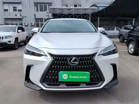 Lexus NX 2022 (42600 км)