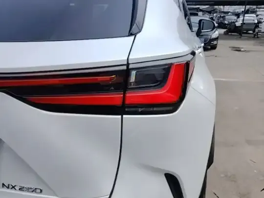 Lexus NX 2022 (42600 км)