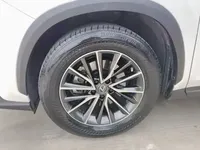 Lexus NX 2022 (42600 км)