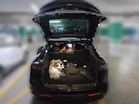 Tesla Model Y 2022 (104000 км)