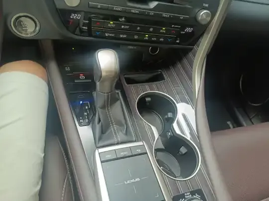 Lexus RX 2021 (46100 км)