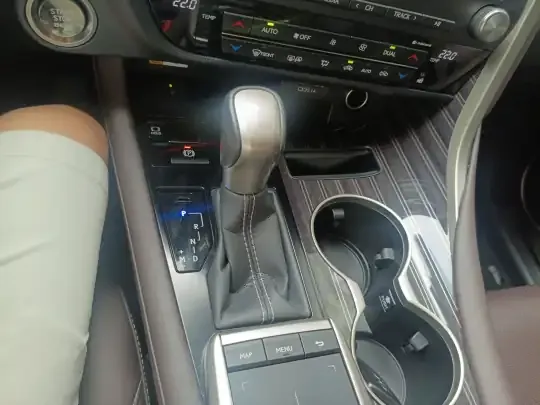 Lexus RX 2021 (46100 км)