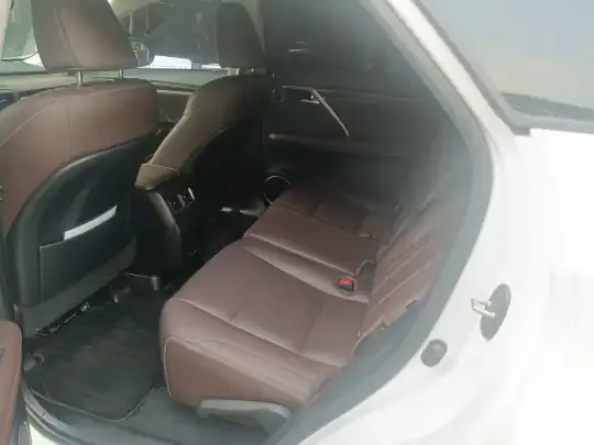 Lexus RX 2021 (46100 км)