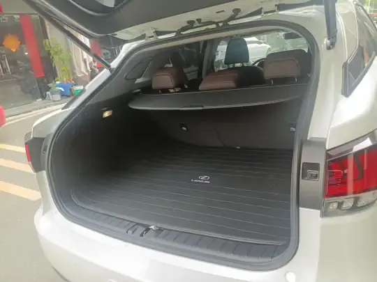 Lexus RX 2021 (46100 км)