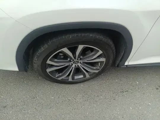 Lexus RX 2021 (46100 км)