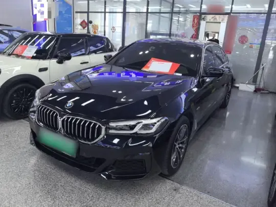 BMW 5 Series New Energy 2022 (48600 км)