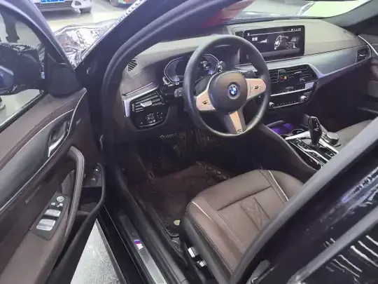BMW 5 Series New Energy 2022 (48600 км)