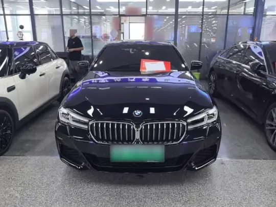 BMW 5 Series New Energy 2022 (48600 км)