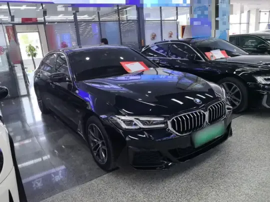 BMW 5 Series New Energy 2022 (48600 км)