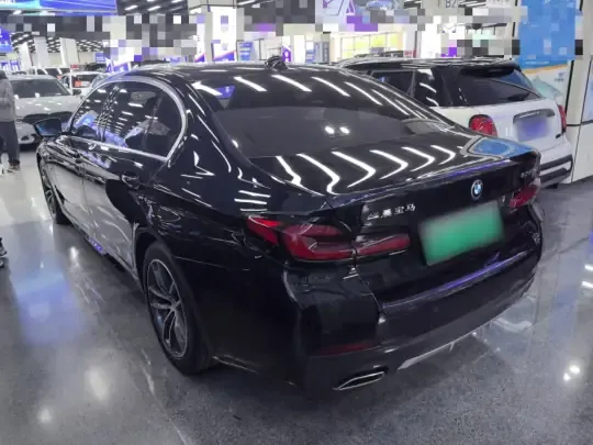 BMW 5 Series New Energy 2022 (48600 км)