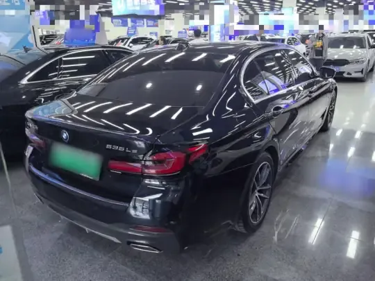 BMW 5 Series New Energy 2022 (48600 км)