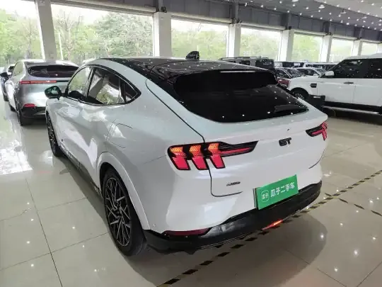 Ford Mustang Mach-E 2021 (44600 км)