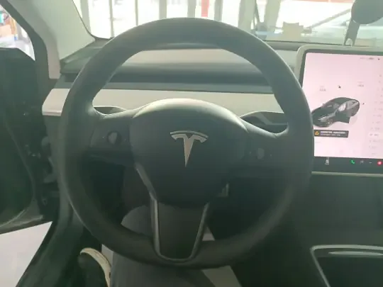 Tesla Model 3 2021 (42400 км)