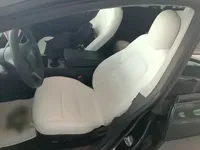 Tesla Model 3 2021 (42400 км)