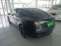 Tesla Model 3 2021 (42400 км)