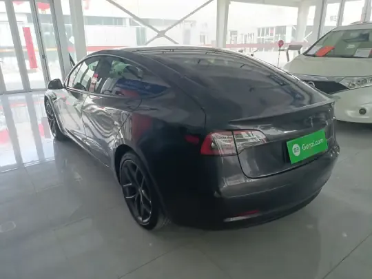Tesla Model 3 2021 (42400 км)