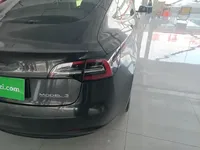 Tesla Model 3 2021 (42400 км)