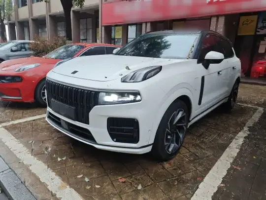 Lynk & Co 09 EM-P 2021 (95300 км)
