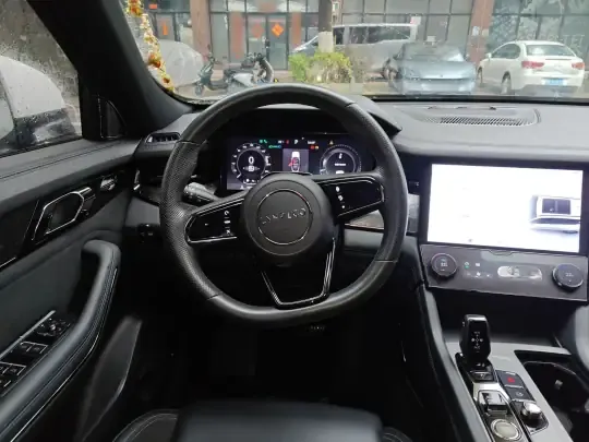 Lynk & Co 09 EM-P 2021 (95300 км)