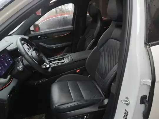 Lynk & Co 09 EM-P 2021 (95300 км)