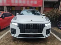 Lynk & Co 09 EM-P 2021 (95300 км)