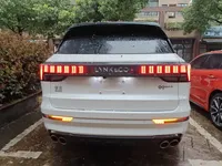 Lynk & Co 09 EM-P 2021 (95300 км)