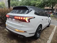Lynk & Co 09 EM-P 2021 (95300 км)
