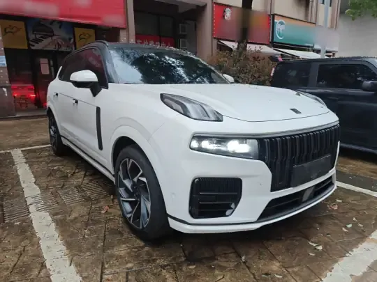 Lynk & Co 09 EM-P 2021 (95300 км)
