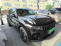 Lynk & Co 09 2021 (110000 км)