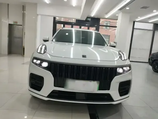 Lynk & Co 09 EM-P 2021 (51600 км)