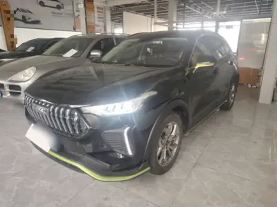 Haval LHERY 2022 (42200 км)