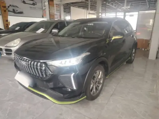 Haval LHERY 2022 (42200 км)