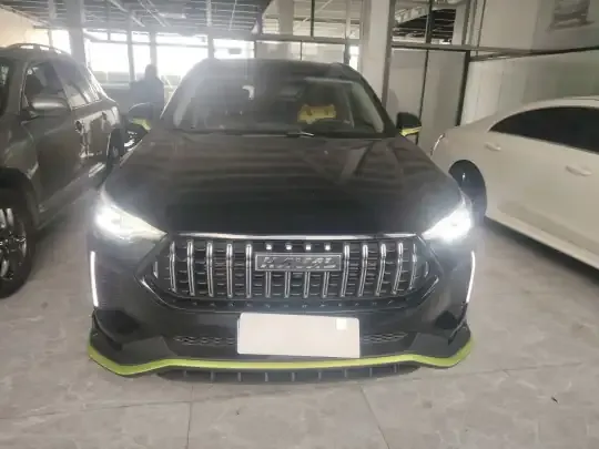 Haval LHERY 2022 (42200 км)