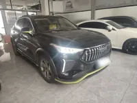 Haval LHERY 2022 (42200 км)
