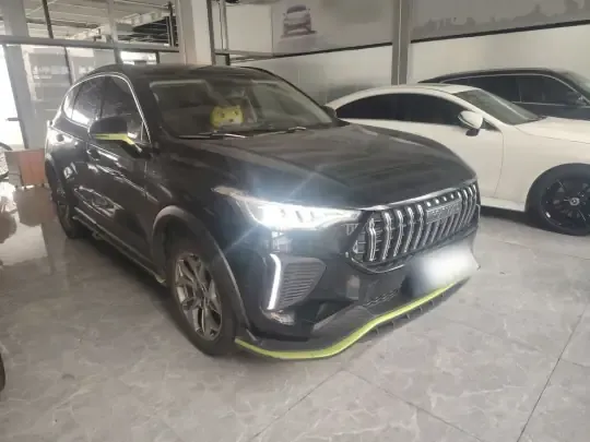 Haval LHERY 2022 (42200 км)