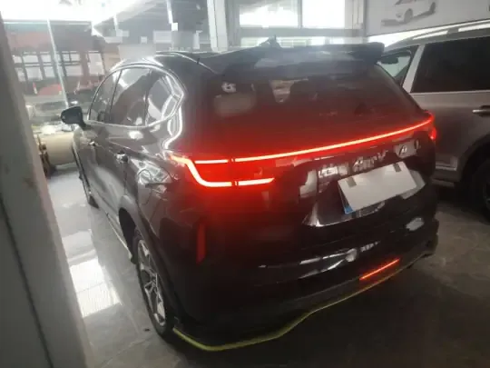 Haval LHERY 2022 (42200 км)