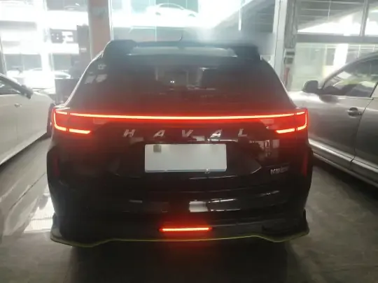 Haval LHERY 2022 (42200 км)
