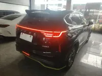 Haval LHERY 2022 (42200 км)
