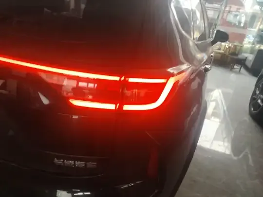 Haval LHERY 2022 (42200 км)