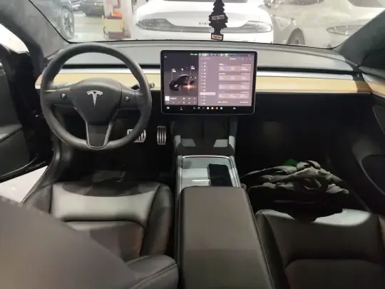 Tesla Model 3 2022 (58000 км)