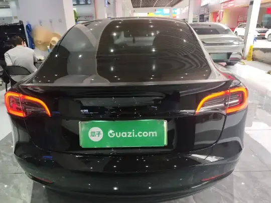 Tesla Model 3 2022 (58000 км)