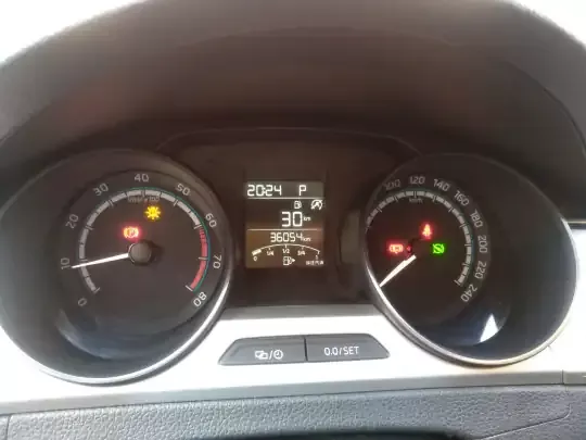 Skoda Rapid 2022 (36000 км)