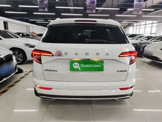 Skoda Karoq 2022 (32599 км)