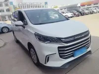 SAIC MAXUS G50 2022 (30299 км)