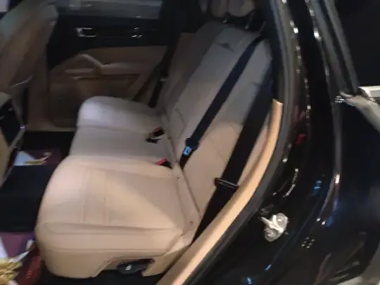 Porsche Cayenne E-Hybrid 2022 (33300 км)