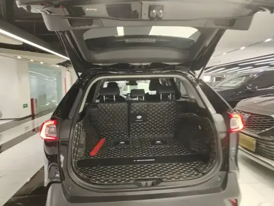 Toyota Wildlander 2022 (36800 км)
